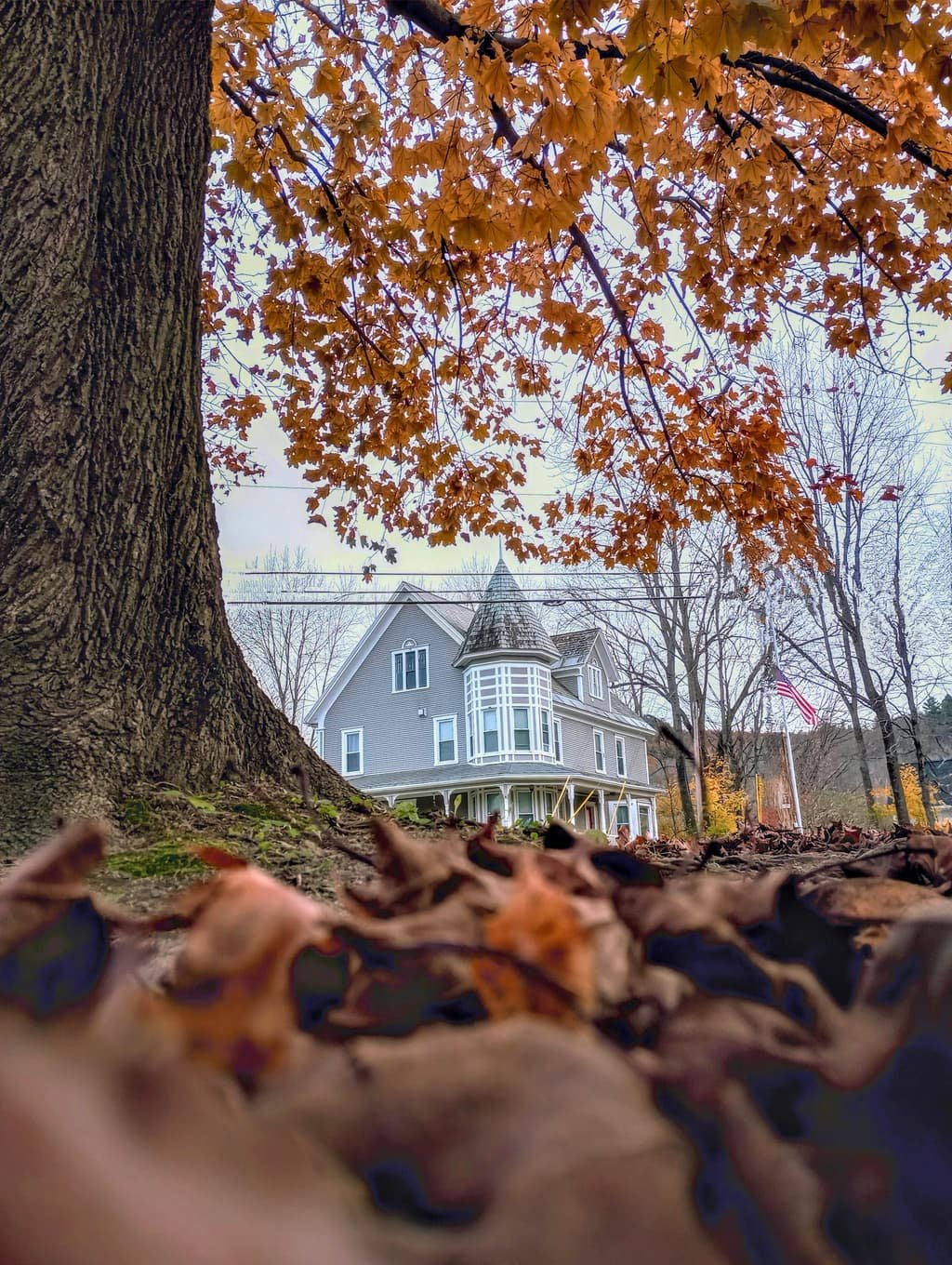 Victorian home framed by autumn foliage