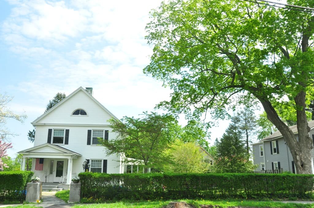 White colonial home framed by mature trees